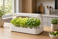 Loamless Starter Bundle with smart hydroponic planter and A+B nutrients.