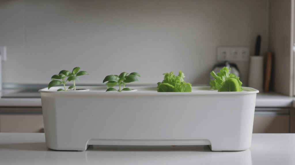 Loamless smart planter