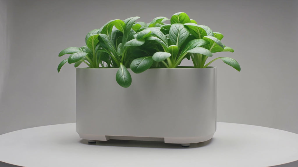 Loamless Smart Planter