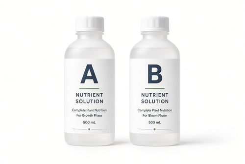 Loamless A+B hydroponic nutrient solution bottles.